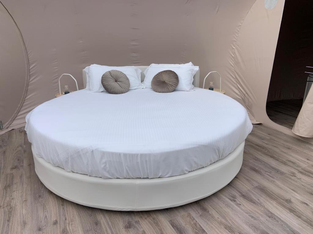 Analisi di Pro e Contro del Bubble Room Tuscany